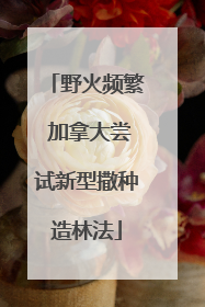 野火频繁 加拿大尝试新型撒种造林法