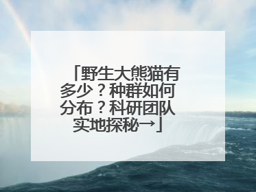野生大熊猫有多少？种群如何分布？科研团队实地探秘→