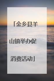 金乡县羊山镇举办促消费活动