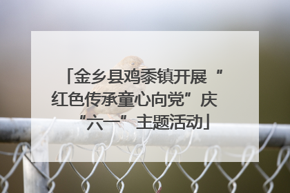 金乡县鸡黍镇开展“红色传承童心向党”庆“六一”主题活动