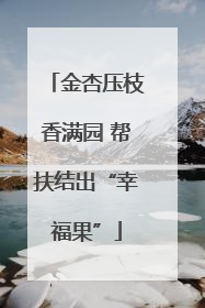 金杏压枝香满园 帮扶结出“幸福果”