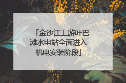 金沙江上游叶巴滩水电站全面进入机电安装阶段