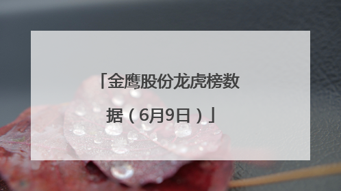 金鹰股份龙虎榜数据（6月9日）