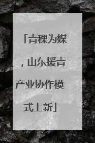 青稞为媒，山东援青产业协作模式上新