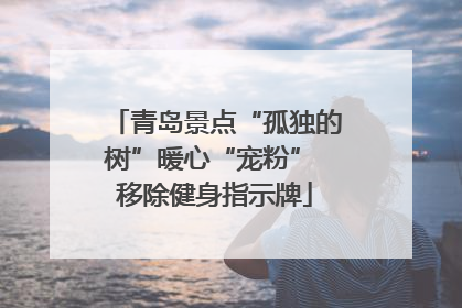 青岛景点“孤独的树”暖心“宠粉” 移除健身指示牌