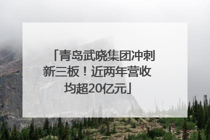 青岛武晓集团冲刺新三板！近两年营收均超20亿元
