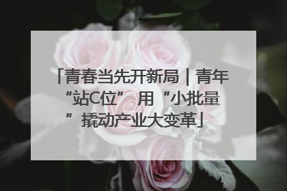 青春当先开新局｜青年“站C位” 用“小批量”撬动产业大变革