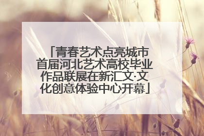 青春艺术点亮城市 首届河北艺术高校毕业作品联展在新汇文·文化创意体验中心开幕