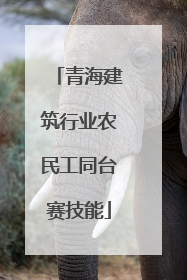 青海建筑行业农民工同台赛技能