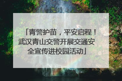 青警护苗，平安启程！武汉青山交警开展交通安全宣传进校园活动