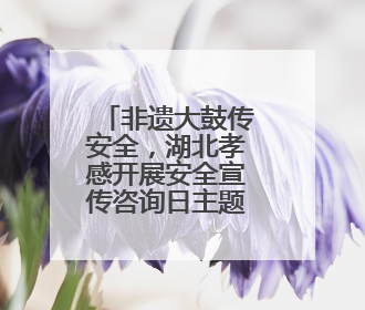 非遗大鼓传安全，湖北孝感开展安全宣传咨询日主题活动