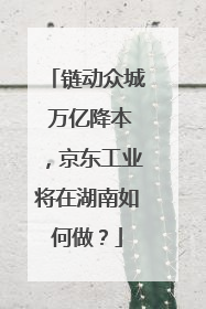 链动众城 万亿降本，京东工业将在湖南如何做？