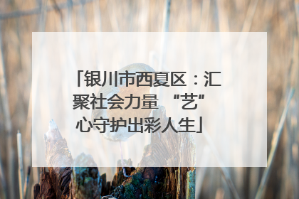 银川市西夏区：汇聚社会力量 “艺”心守护出彩人生