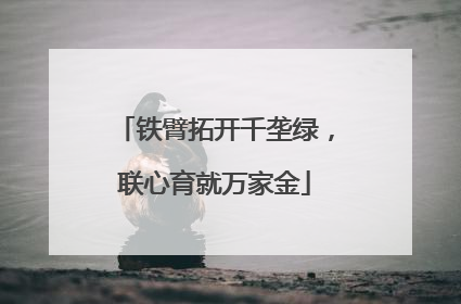 铁臂拓开千垄绿，联心育就万家金