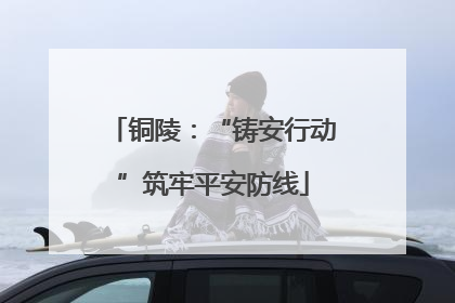铜陵：“铸安行动”筑牢平安防线