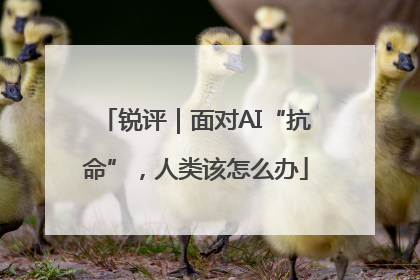 锐评｜面对AI“抗命”，人类该怎么办