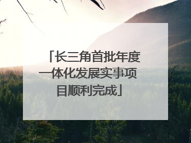 长三角首批年度一体化发展实事项目顺利完成