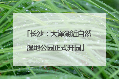 长沙：大泽湖近自然湿地公园正式开园