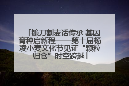 镰刀割麦话传承 基因育种启新程——第十届杨凌小麦文化节见证“颗粒归仓”时空跨越