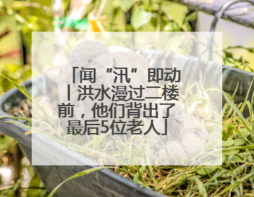闻“汛”即动丨洪水漫过二楼前，他们背出了最后5位老人