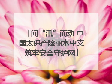 闻“汛”而动 中国太保产险丽水中支筑牢安全守护网