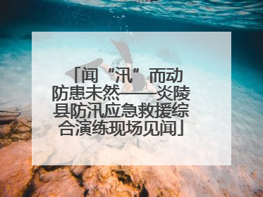 闻“汛”而动 防患未然——炎陵县防汛应急救援综合演练现场见闻