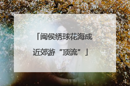 闽侯绣球花海成近郊游“顶流”