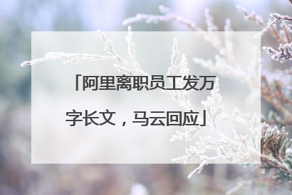 阿里离职员工发万字长文，马云回应