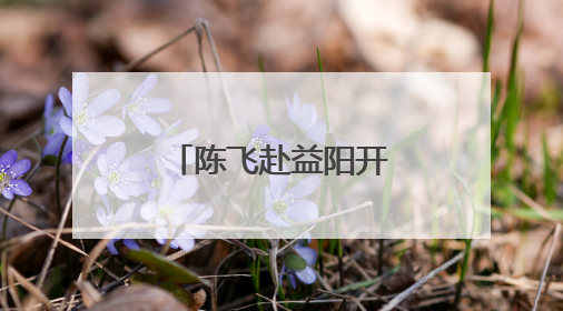 陈飞赴益阳开展“法治护绿”执法检查