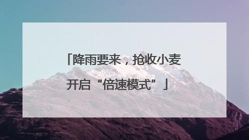 降雨要来，抢收小麦开启“倍速模式”