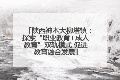陕西神木大柳塔镇：探索“职业教育+成人教育”双轨模式 促进教育融合发展