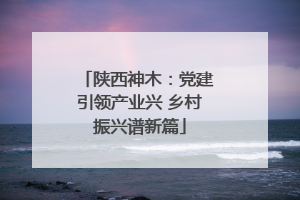 陕西神木：党建引领产业兴 乡村振兴谱新篇