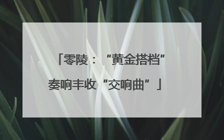 零陵：“黄金搭档”奏响丰收“交响曲”