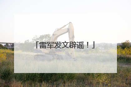 雷军发文辟谣！