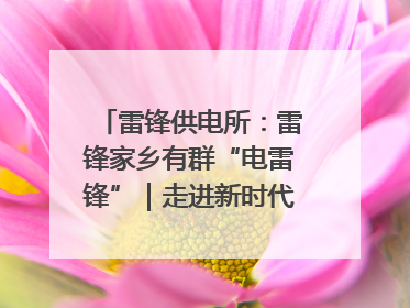 雷锋供电所：雷锋家乡有群“电雷锋”｜走进新时代“雷锋传人 长沙榜样”