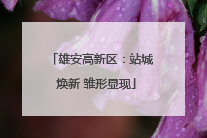雄安高新区：站城焕新 雏形显现