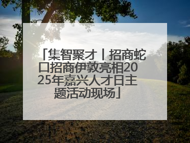 集智聚才丨招商蛇口招商伊敦亮相2025年嘉兴人才日主题活动现场