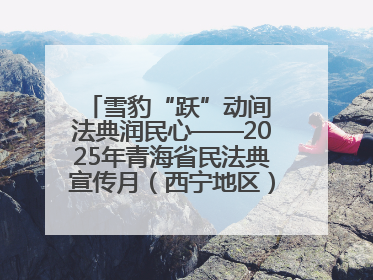 雪豹“跃”动间 法典润民心——2025年青海省民法典宣传月（西宁地区）主场活动见闻