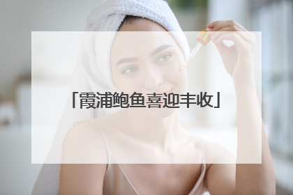 霞浦鲍鱼喜迎丰收