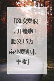 风吹麦浪，开镰啦！顺义15万亩小麦迎来丰收