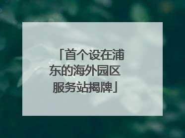 首个设在浦东的海外园区服务站揭牌