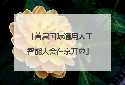 首届国际通用人工智能大会在京开幕