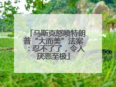 马斯克怒喷特朗普“大而美”法案：忍不了了，令人厌恶至极