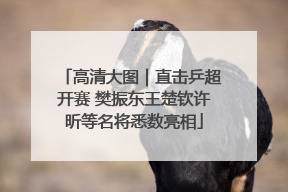 高清大图｜直击乒超开赛 樊振东王楚钦许昕等名将悉数亮相