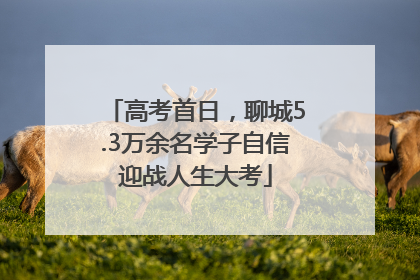 高考首日，聊城5.3万余名学子自信迎战人生大考