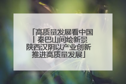 高质量发展看中国丨秦巴山间绘新景 陕西汉阴以产业创新推进高质量发展