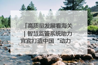 高质量发展看海关｜智慧监管系统助力宜宾打造中国“动力电池之都”