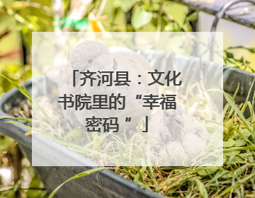 齐河县：文化书院里的“幸福密码 ”