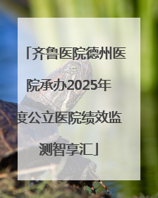 齐鲁医院德州医院承办2025年度公立医院绩效监测智享汇