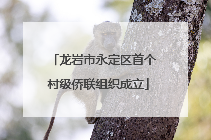 龙岩市永定区首个村级侨联组织成立